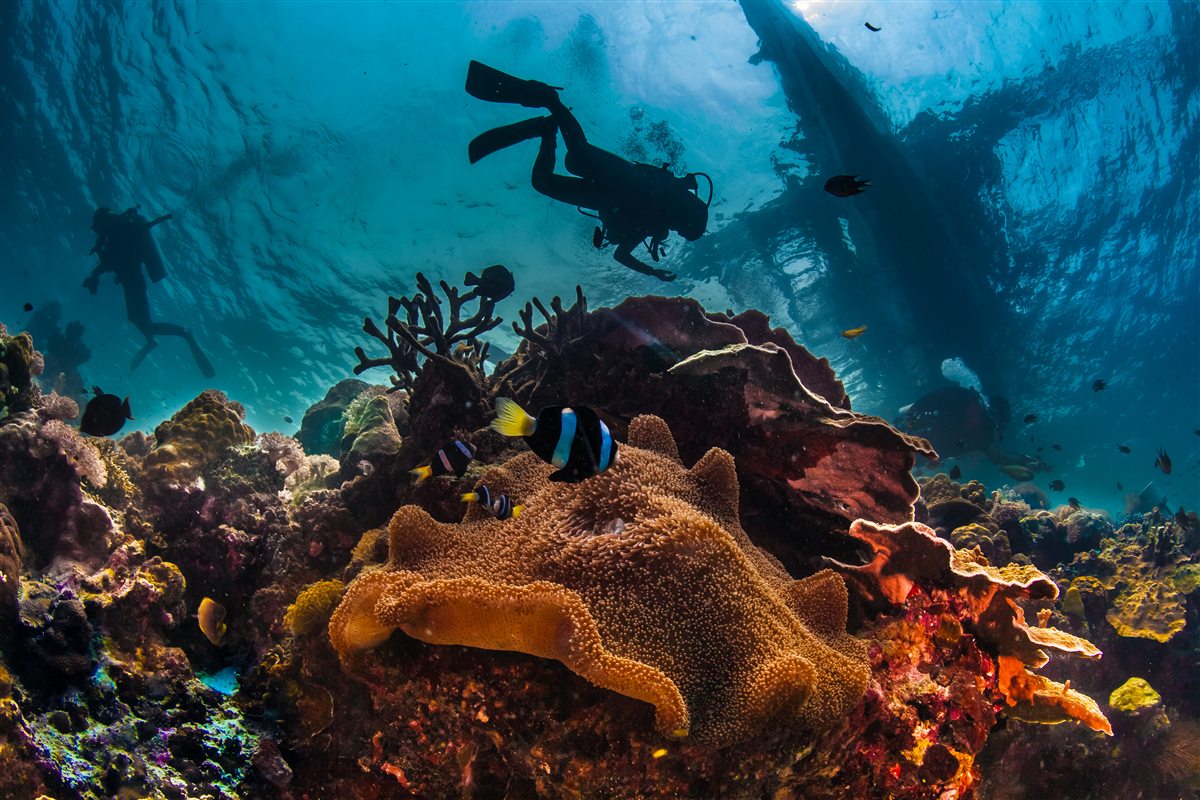 Certified diving day in Hurghada