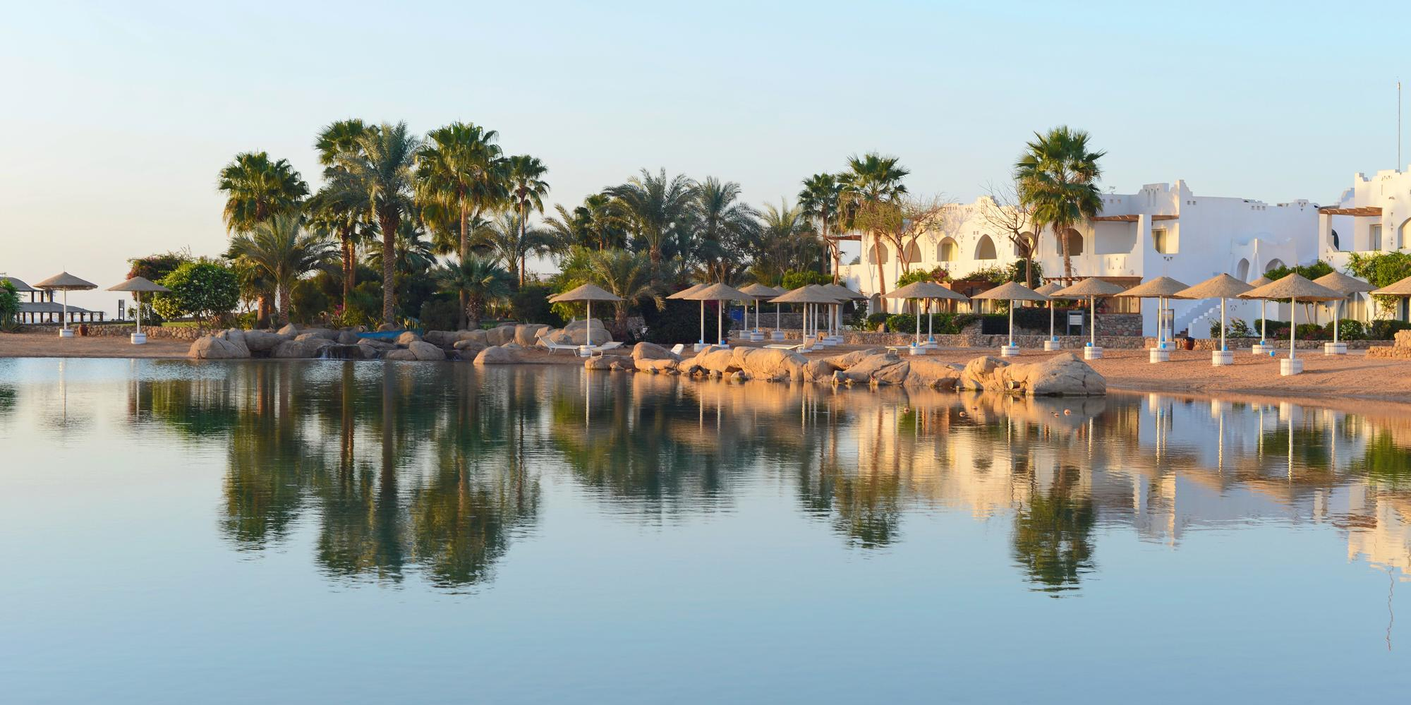 Delta Sharm stay with pool and palm-lined resort view