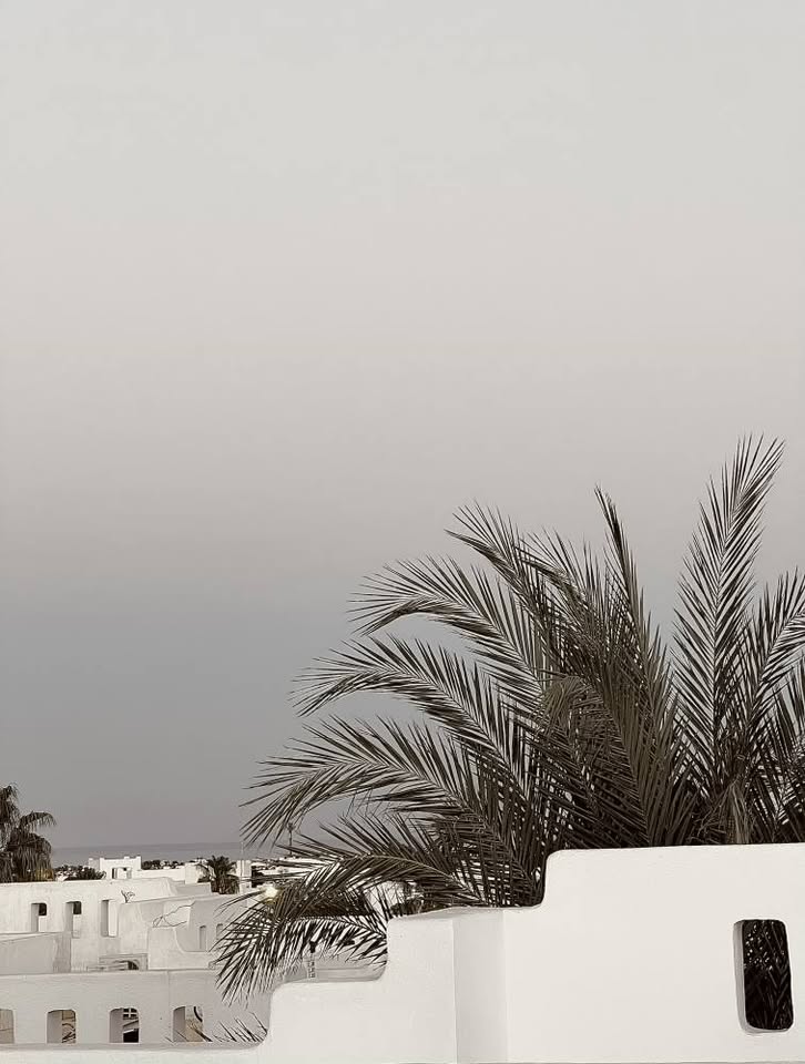 Delta Sharm apartment interior and stay option