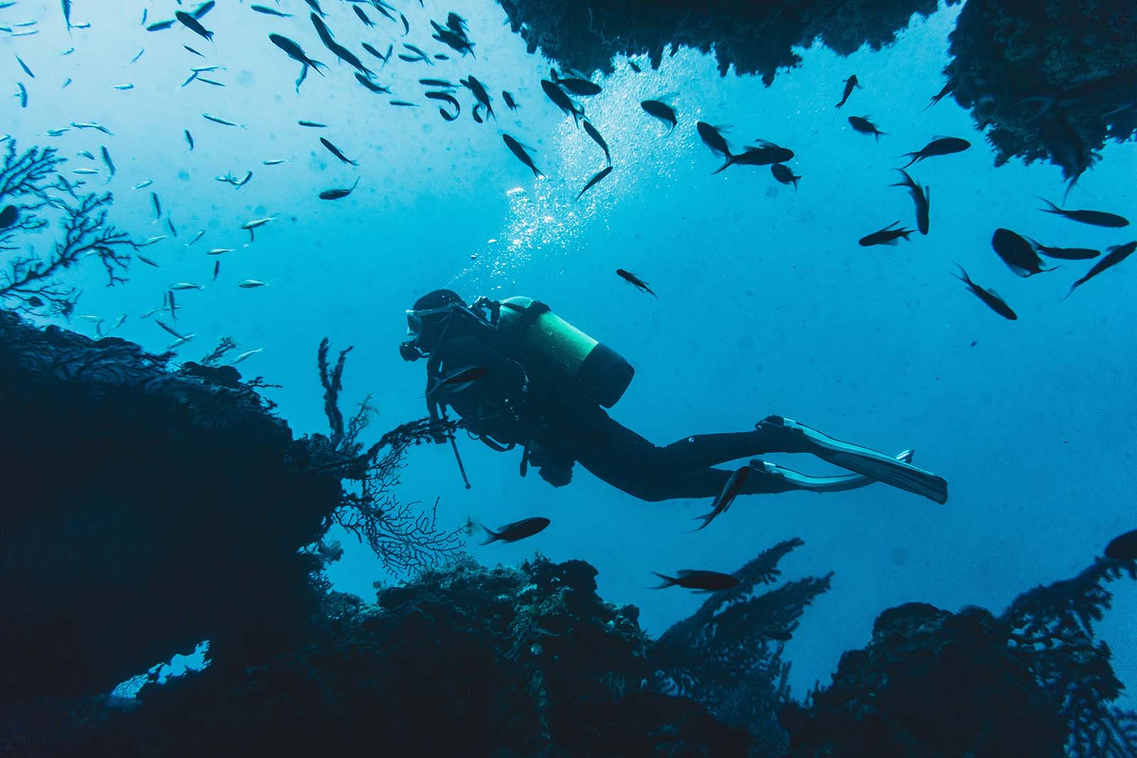 Intro Diving / Try Dive related Hurghada setting