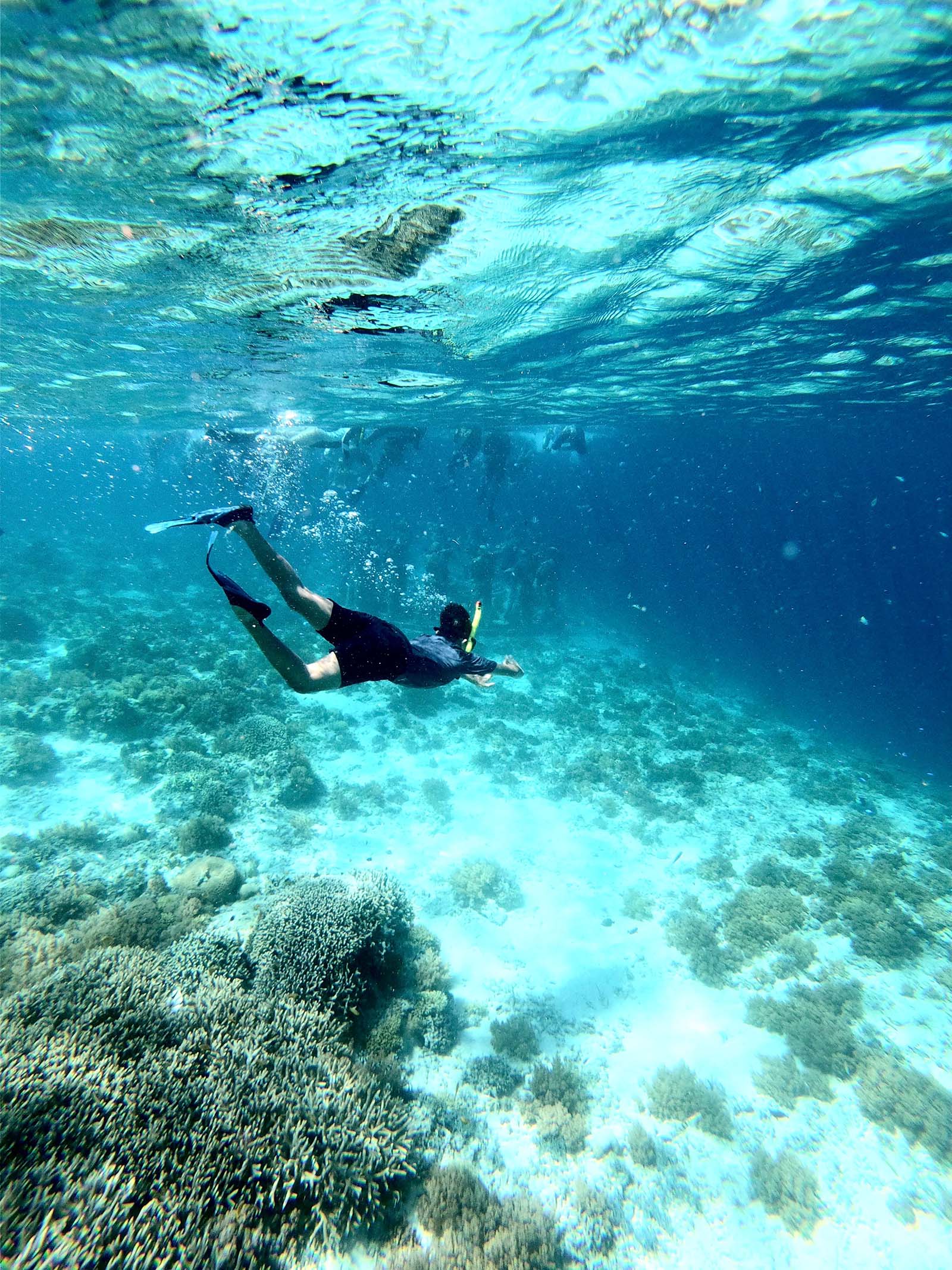 Snorkeling Boat Trip request setting