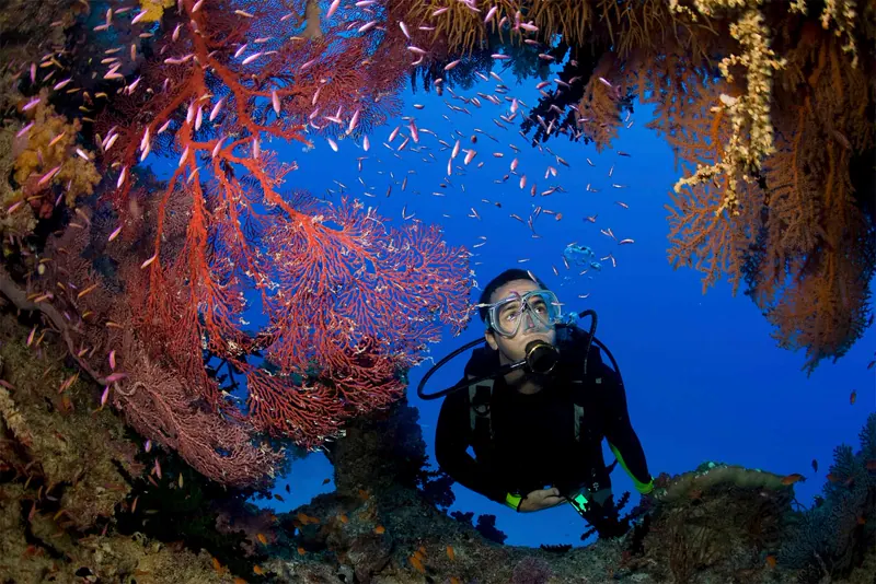 Diving